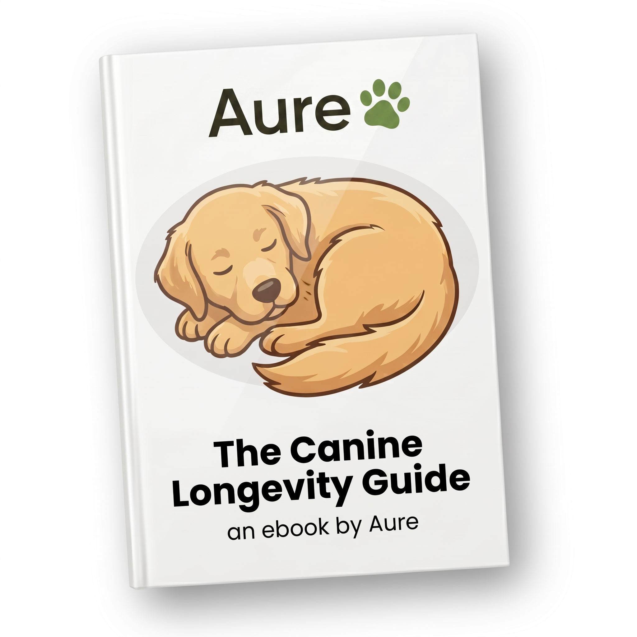 Indoor Dog Longevity Guide