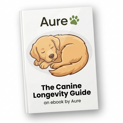 Indoor Dog Longevity Guide